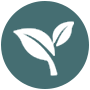 Picto Climat Et Transition Ecologique
